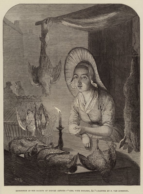 Girl with Poultry by Petrus van Schendel