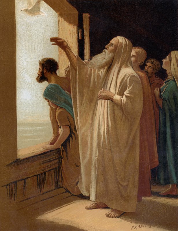 Noah Sending Forth the Dove, During the Flood by Philip Richard Morris