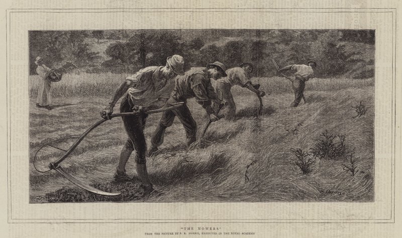 The Mowers by Philip Richard Morris