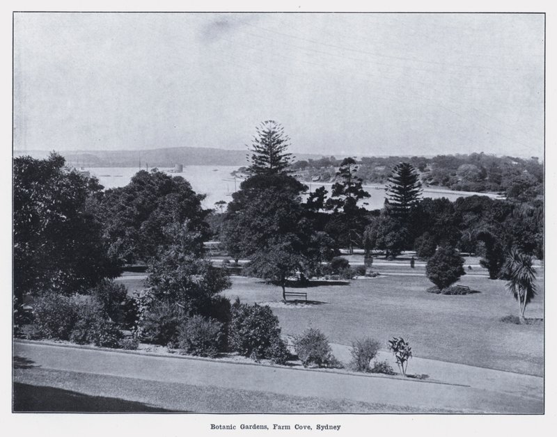 Botanic Gardens, Farm Cove, Sydney by Photographer Australian
