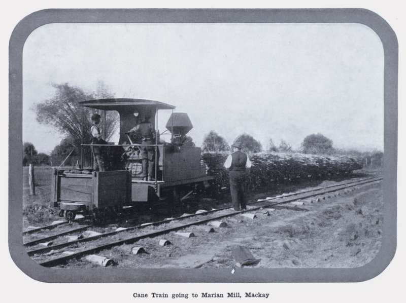 Cane Train going to Marian Mill, Mackay by Photographer Australian