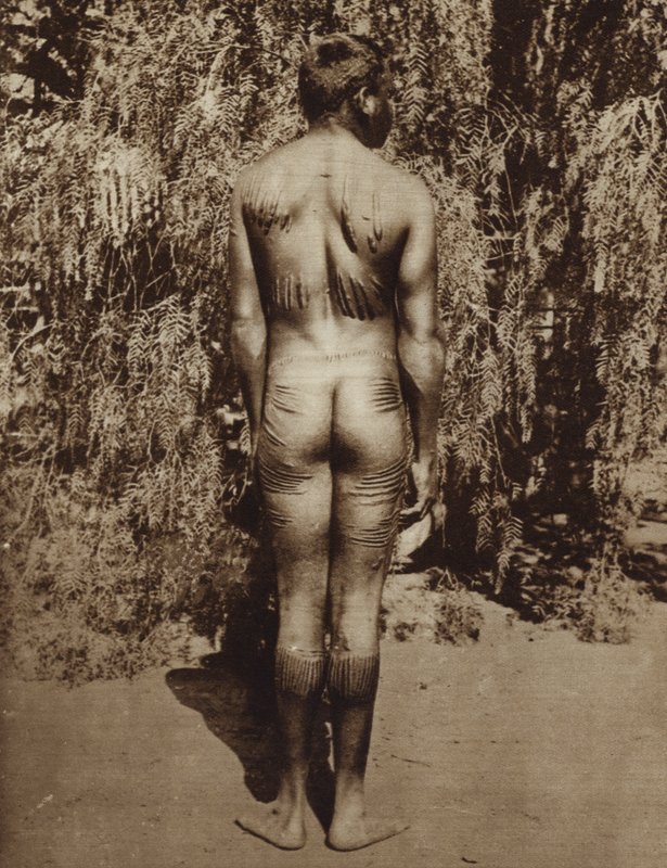 Indigenous Australian body decoration by Photographer Australian