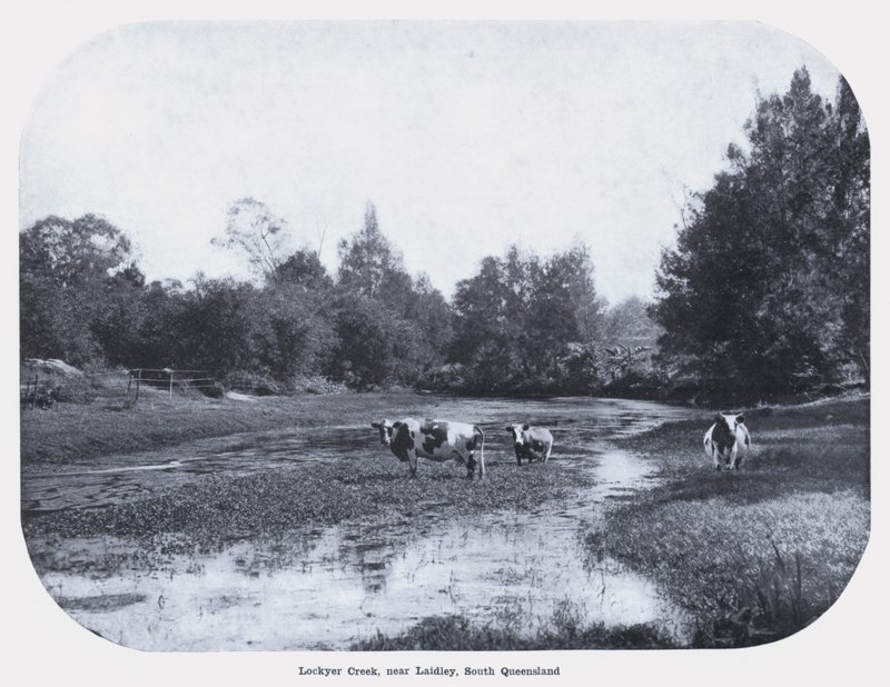 Lockyer Creek, near Laidley, South Queensland by Photographer Australian