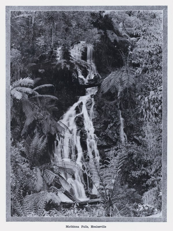 Mathinna Falls, Healesville by Photographer Australian