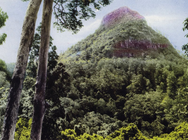 Queensland, Australia: Mt Cordeaux by Photographer Australian