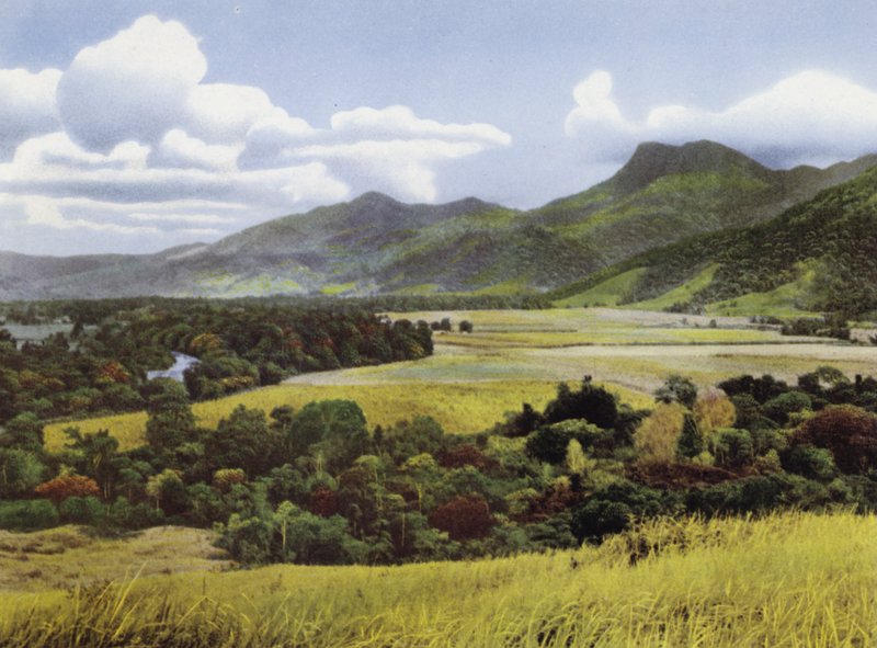 Queensland, Australia: Sugar Lands at Mossman by Photographer Australian