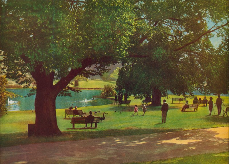 The Botanic Gardens, Melbourne by Photographer Australian