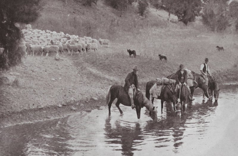 The Rest, Typical Australian Stockmen by Photographer Australian