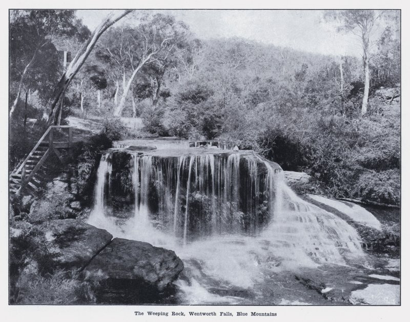 The Weeping Rock, Wentworth Falls, Blue Mountains by Photographer Australian