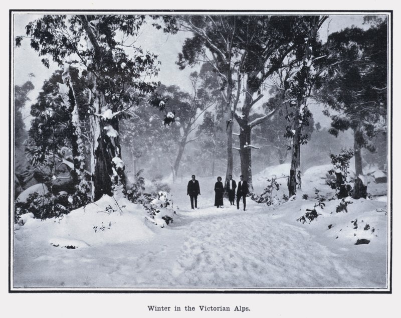 Winter in the Victorian Alps by Photographer Australian