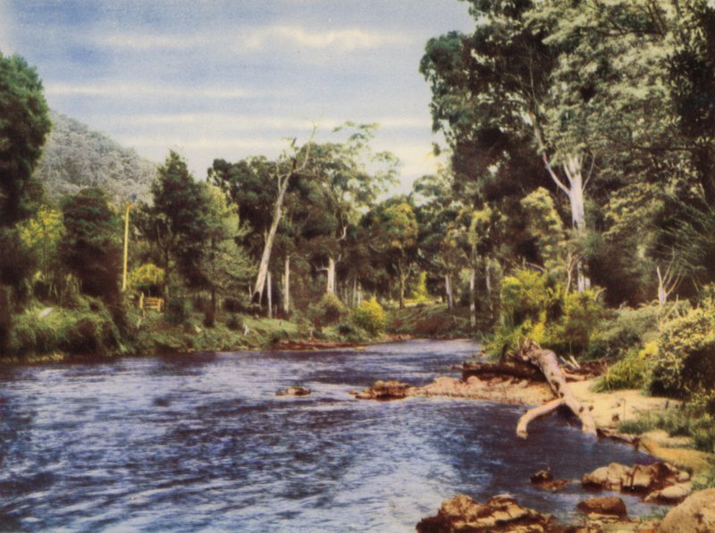 Yarra River by Photographer Australian