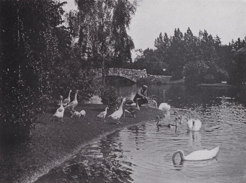 Lake, Beacon Hill Park, Victoria, British Columbia by Photographer Canadian