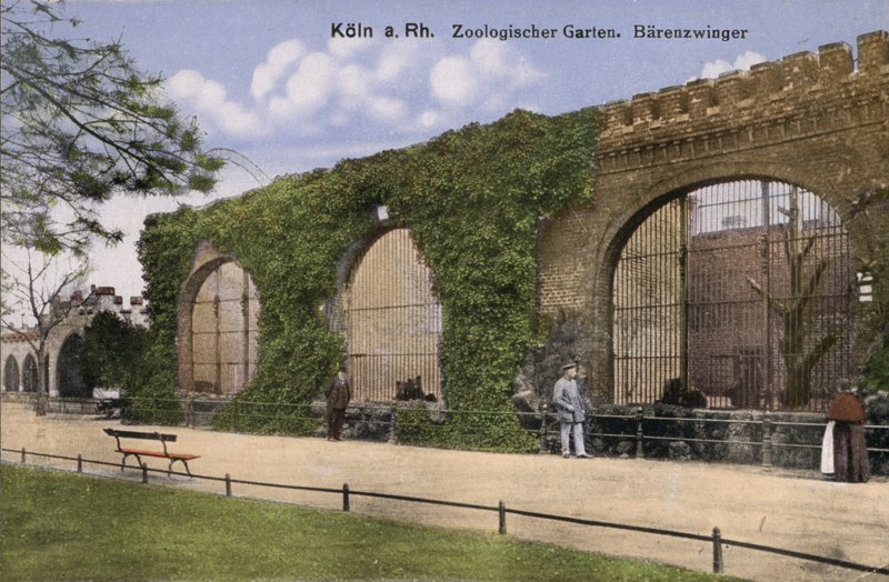 Cologne Zoo, Bears by Photographer German