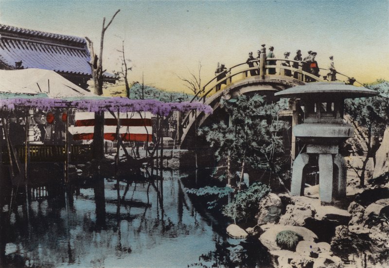Japan, c.1912: Kameido Temple Ground Noted for Wisteria Blossom in May and Drum Bridge by Photographer Japanese