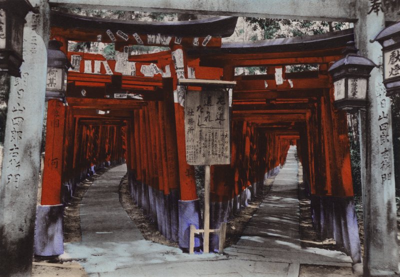 Japan, c.1912: Torii Avenues, Shrine of Fushimi Near Kyoto by Photographer Japanese