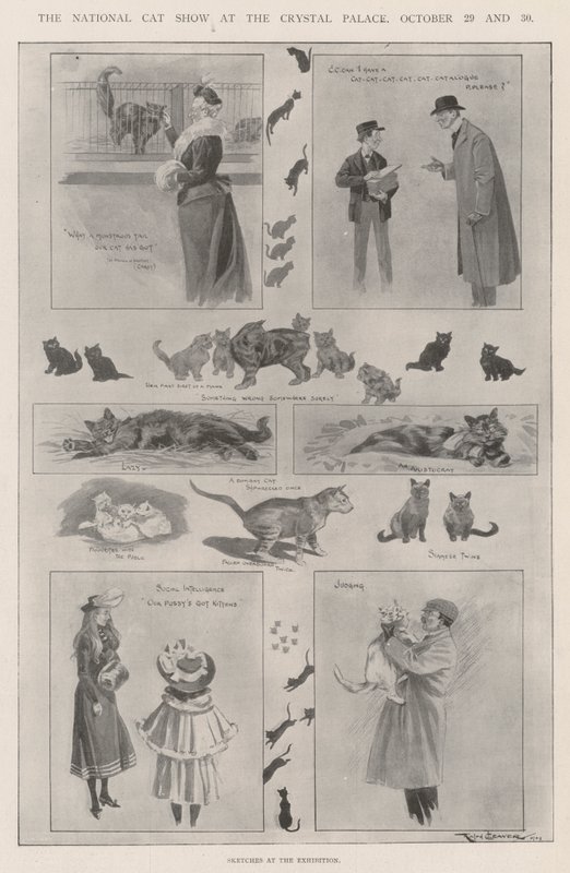 The National Cat Show at the Crystal Palace, 29 and 30 October by Ralph Cleaver