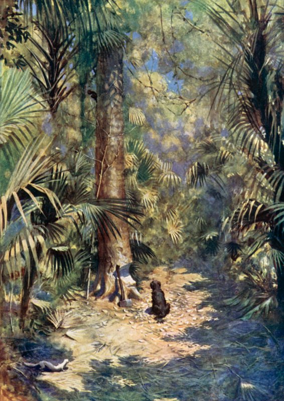 Illustration for Robinson Crusoe by Daniel Defoe by Ralph Noel Pocock