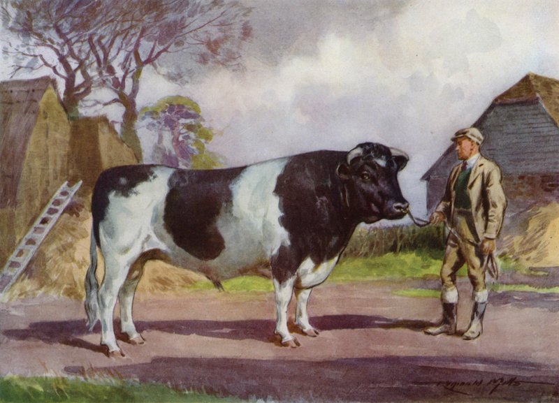 Illustration for My Farm by Reginald Mills