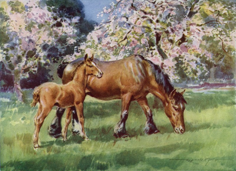 Illustration for My Farm by Reginald Mills