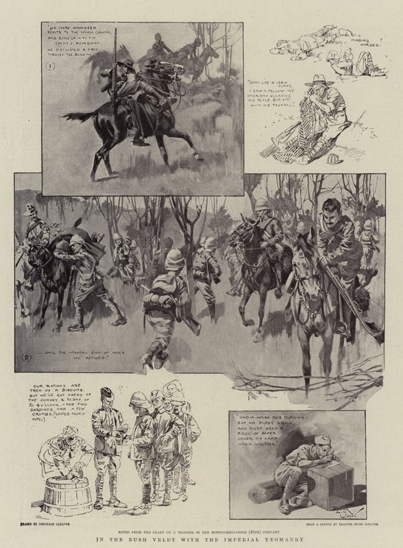 In the Bush Veldt with the Imperial Yeomanry by Reginald Thomas Cleaver