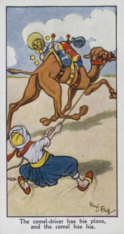 The camel-driver has his plans, and the camel has his by René Bull