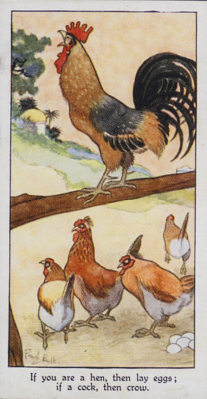 Eastern Proverb: If you are a hen, then lay eggs; if a cock, then crow by René Bull