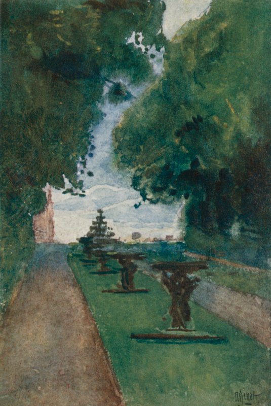 The Allee d
