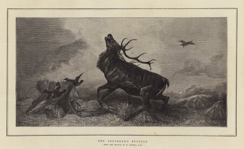 The Shepherd