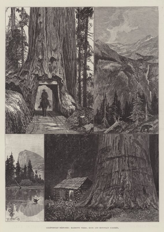 Californian Sketches, Mammoth Trees, Rock and Mountain Scenery by Richard Caton Woodville junior