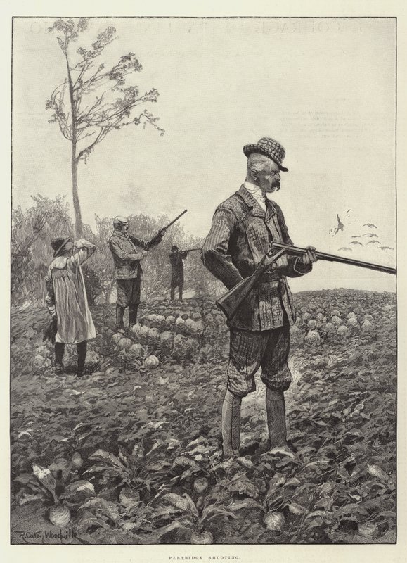 Partridge Shooting by Richard Caton Woodville junior