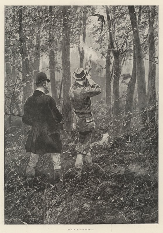 Pheasant-Shooting by Richard Caton Woodville junior