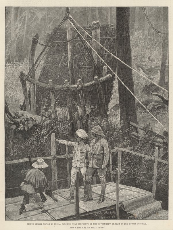 Prince Albert Victor in India, catching Wild Elephants at the Government Khedah in the Mysore District by Richard Caton Woodville junior