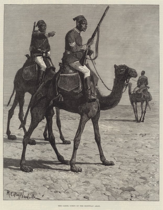The Camel Corps of the Egyptian Army by Richard Caton Woodville junior
