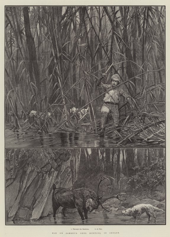 Elk or Sambhur Deer Hunting in Ceylon by Richard Caton Woodville junior