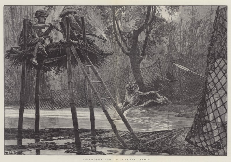 Tiger-Hunting in Mysore, India by Richard Caton Woodville junior
