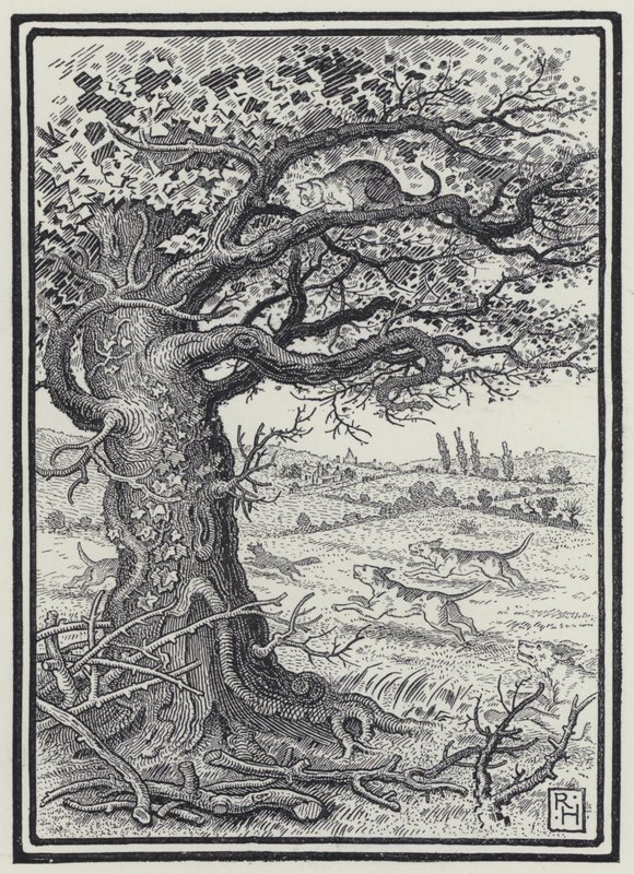 The Fox And The Cat by Richard Heighway