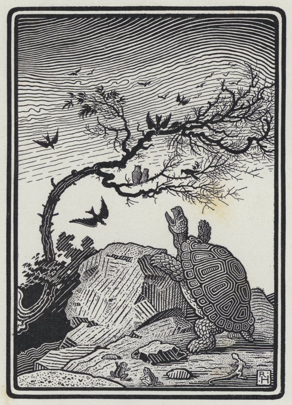 The Tortoise And The Birds by Richard Heighway