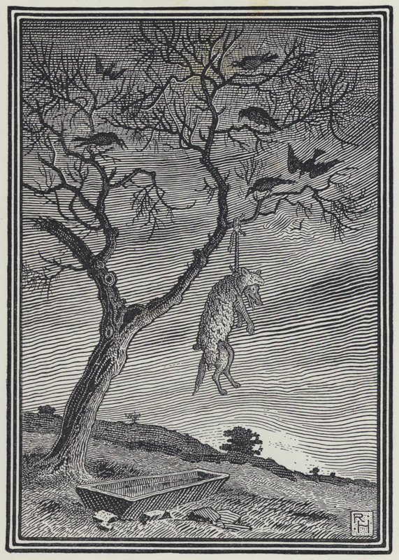 The Wolf In Sheep
