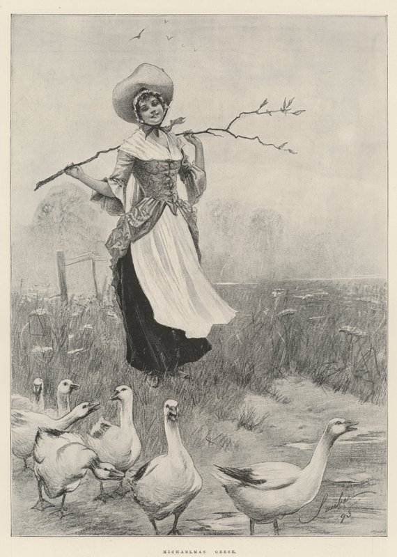 Michaelmas Geese by Robert Sauber