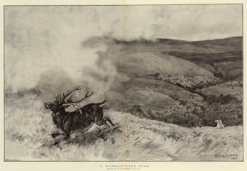 A Warrantable Stag by Robert Walker Macbeth