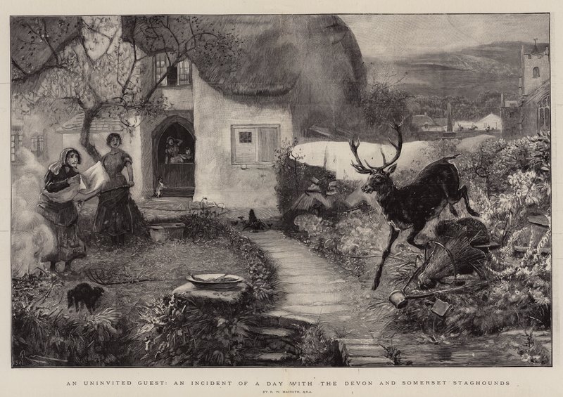 An Uninvited Guest, an Incident of a Day with Devon and Somerset Staghounds by Robert Walker Macbeth