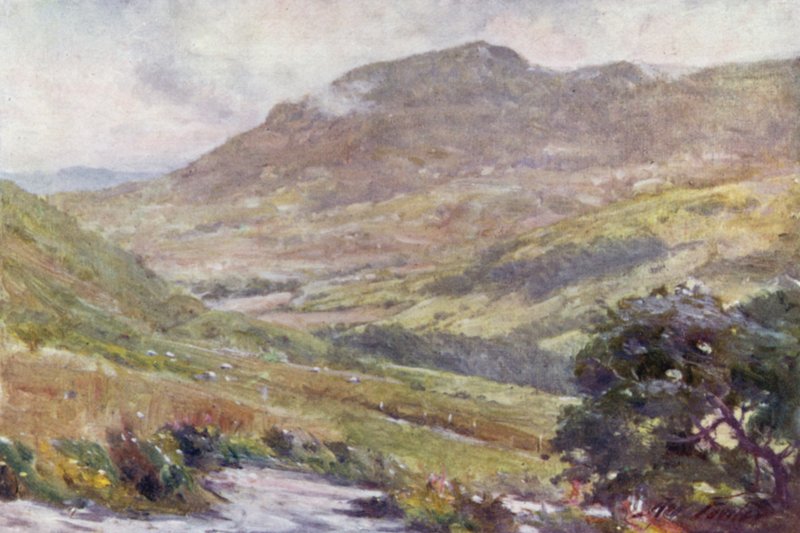 A Mountain Pass, Noon by Robert (after) Fowler