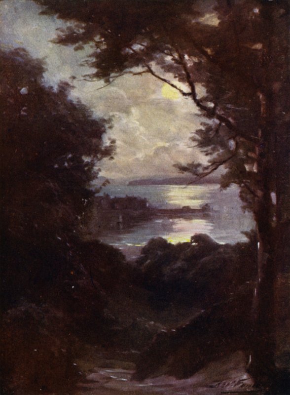 Beaumaris, Moonlight by Robert (after) Fowler