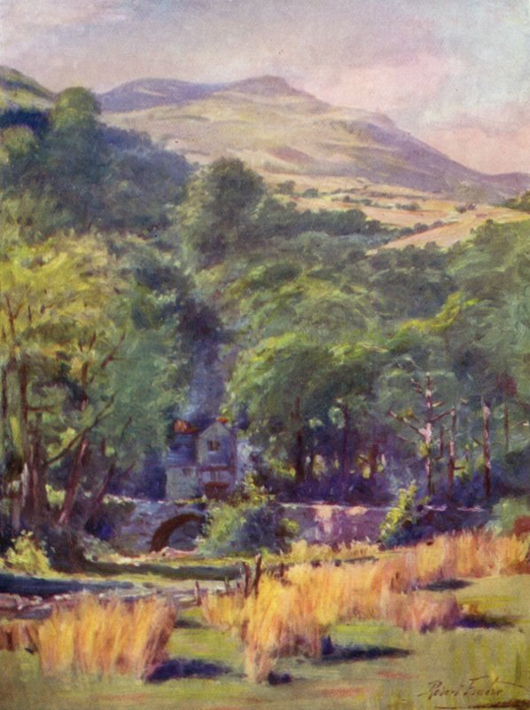 Duffws Mountain by Robert (after) Fowler