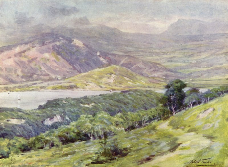 Duffws Mountain in Mist by Robert (after) Fowler
