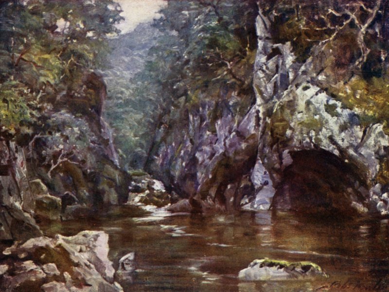Fairy Glen, Bettws-y-Coed by Robert (after) Fowler
