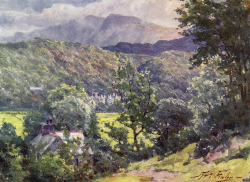 In the Woods, Farchynys, Barmouth Estuary by Robert (after) Fowler