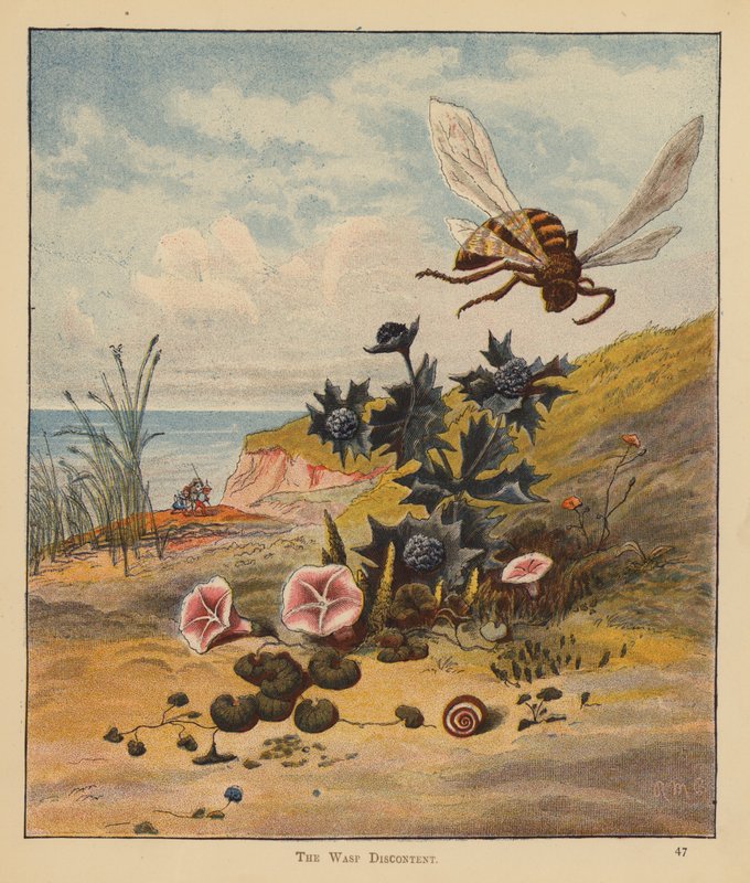 The Kitten Pilgrims: The Wasp Discontent by Robert Michael Ballantyne