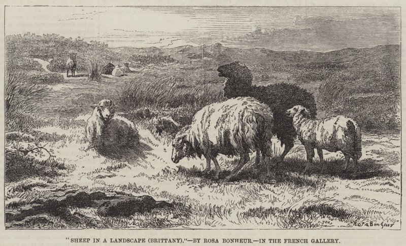 Sheep in a Landscape, Brittany by Rosa Bonheur