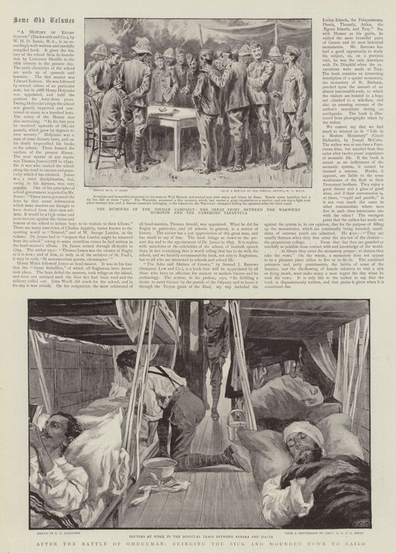 After the Battle of Omdurman, Bringing the Sick and Wounded Down to Cairo by S.T. Dadd